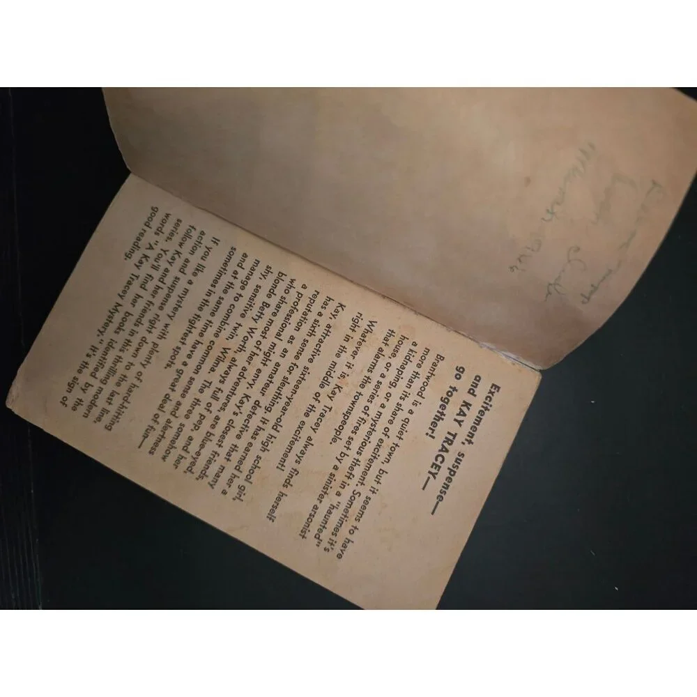 The Message in the Sand Dunes by Frances K. Judd Vintage Paperback